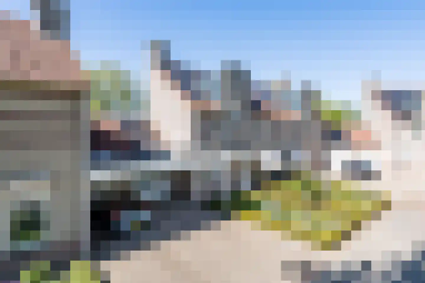 Poldermolen 156 Weert thumbnail 53