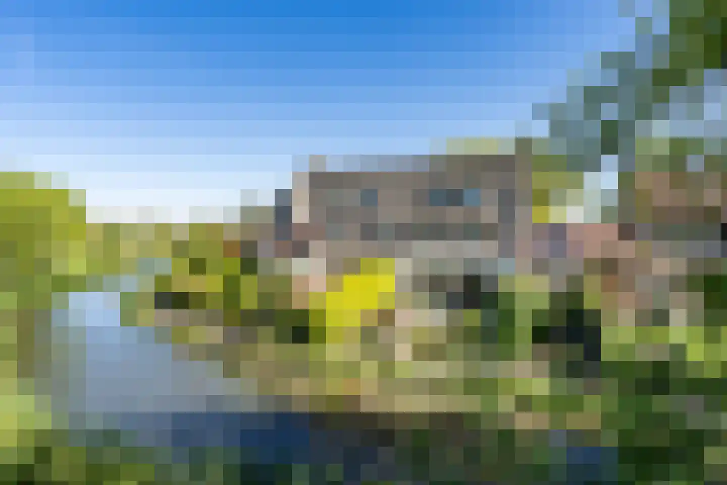 Poldermolen 156 Weert thumbnail 55
