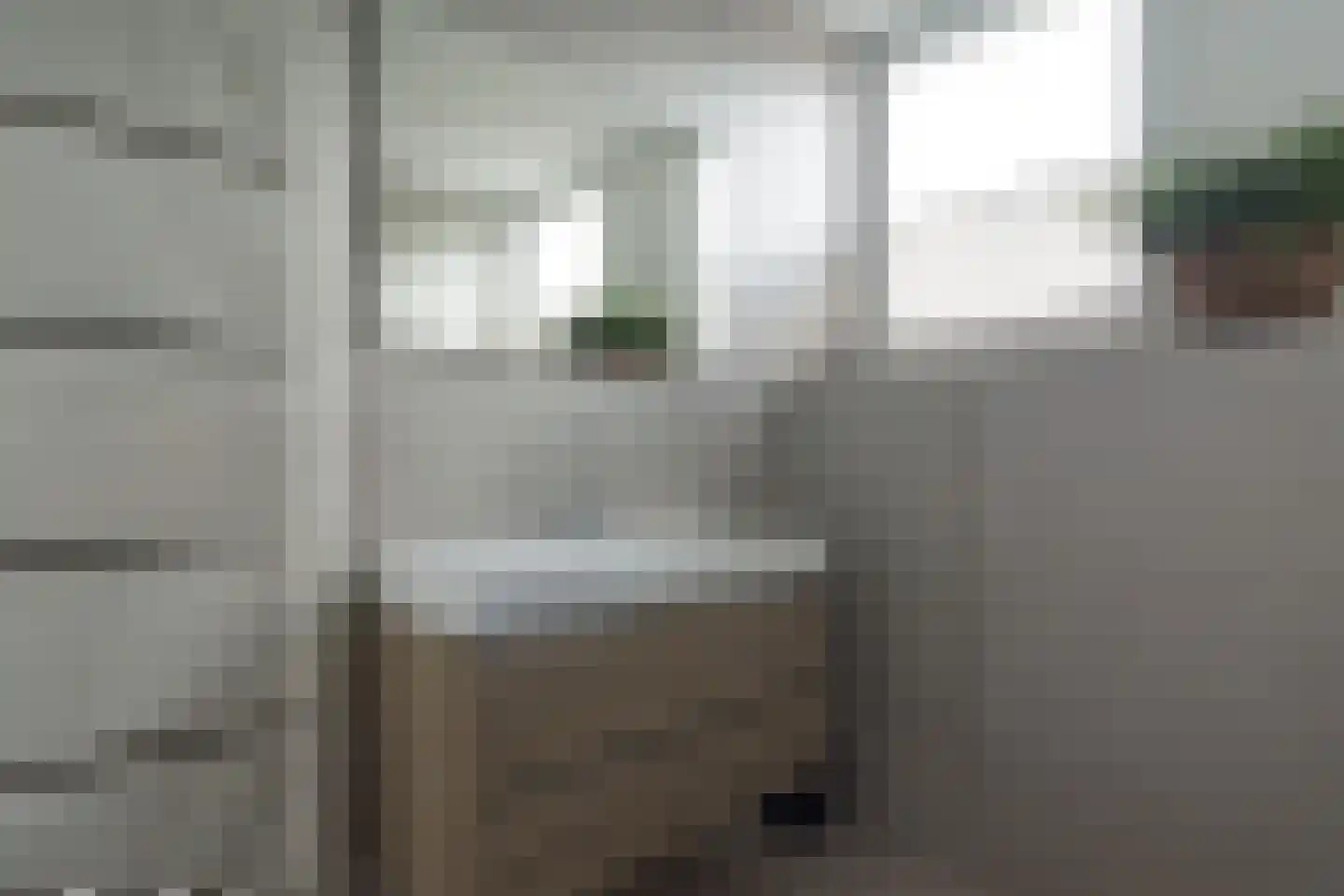 Poldermolen 21 E de Lutte thumbnail 25