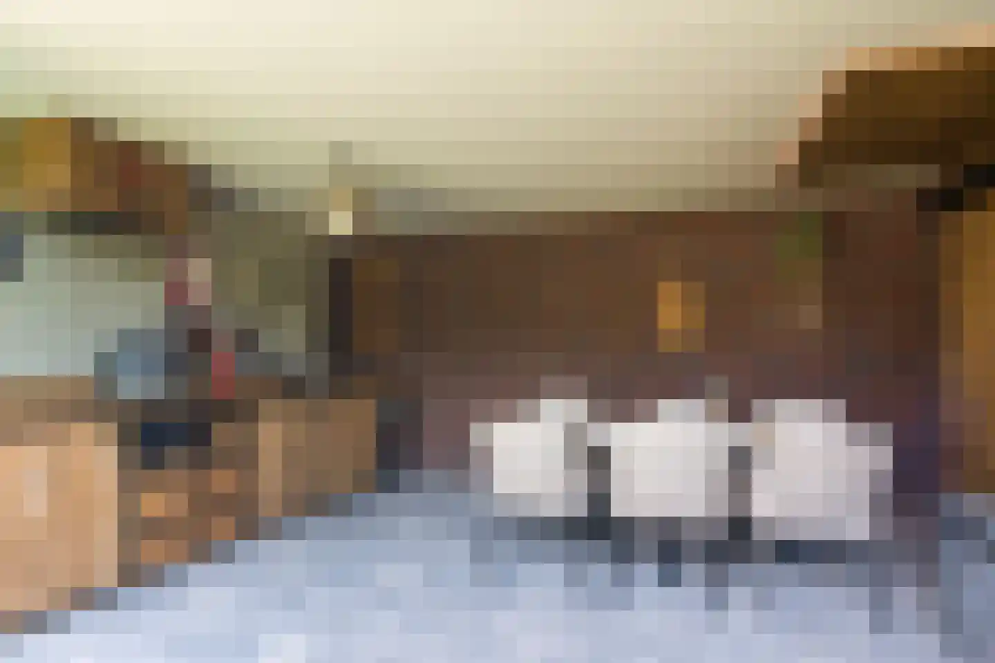 Poldermolen 21 E de Lutte thumbnail 29
