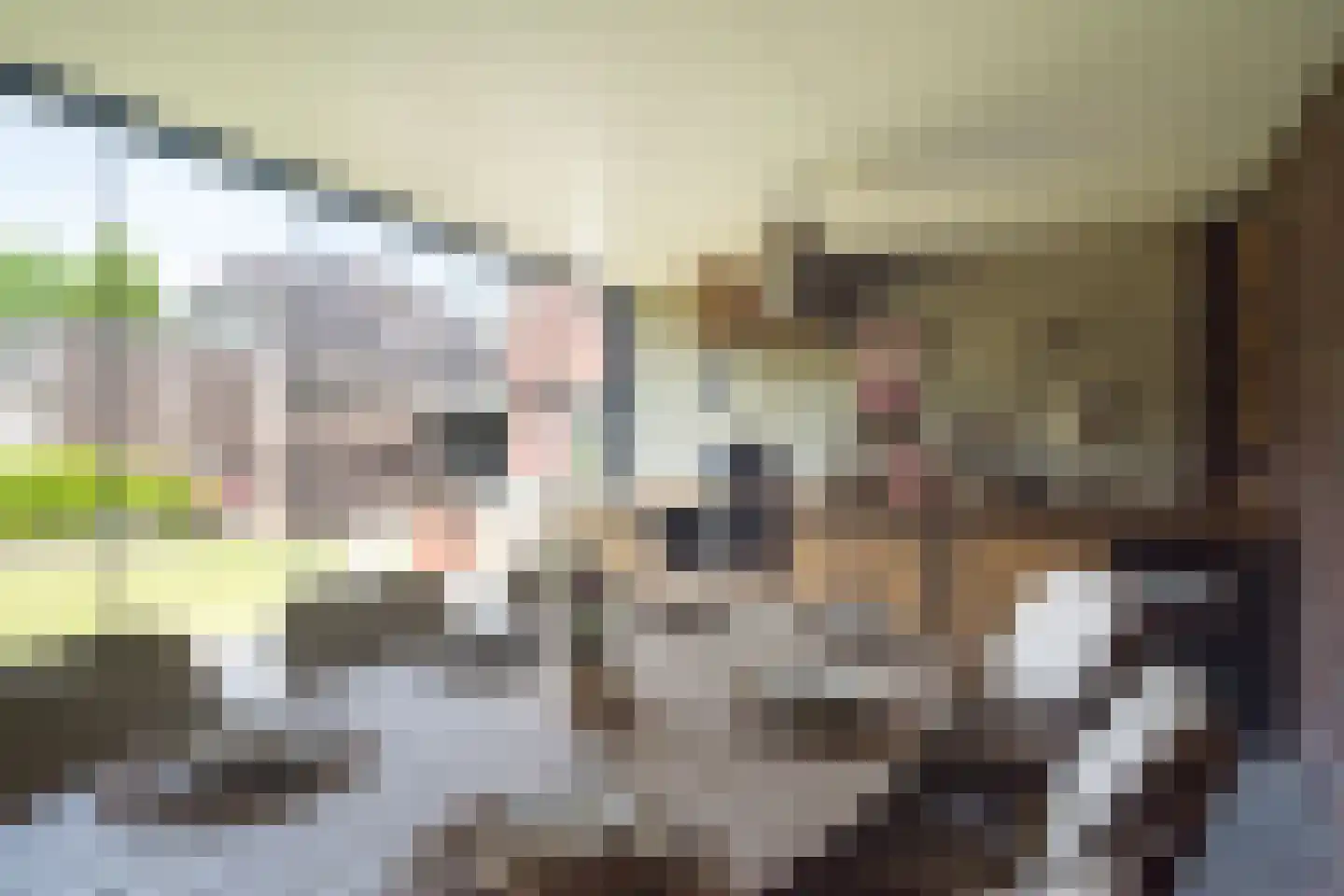 Poldermolen 21 E de Lutte thumbnail 31