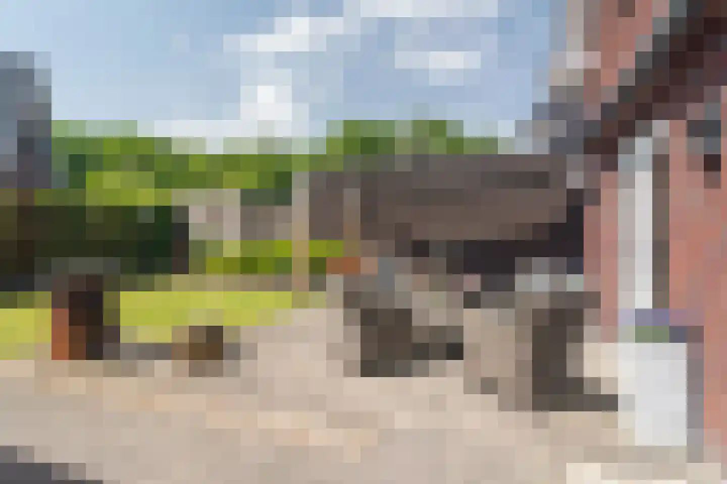 Poldermolen 21 E de Lutte thumbnail 34
