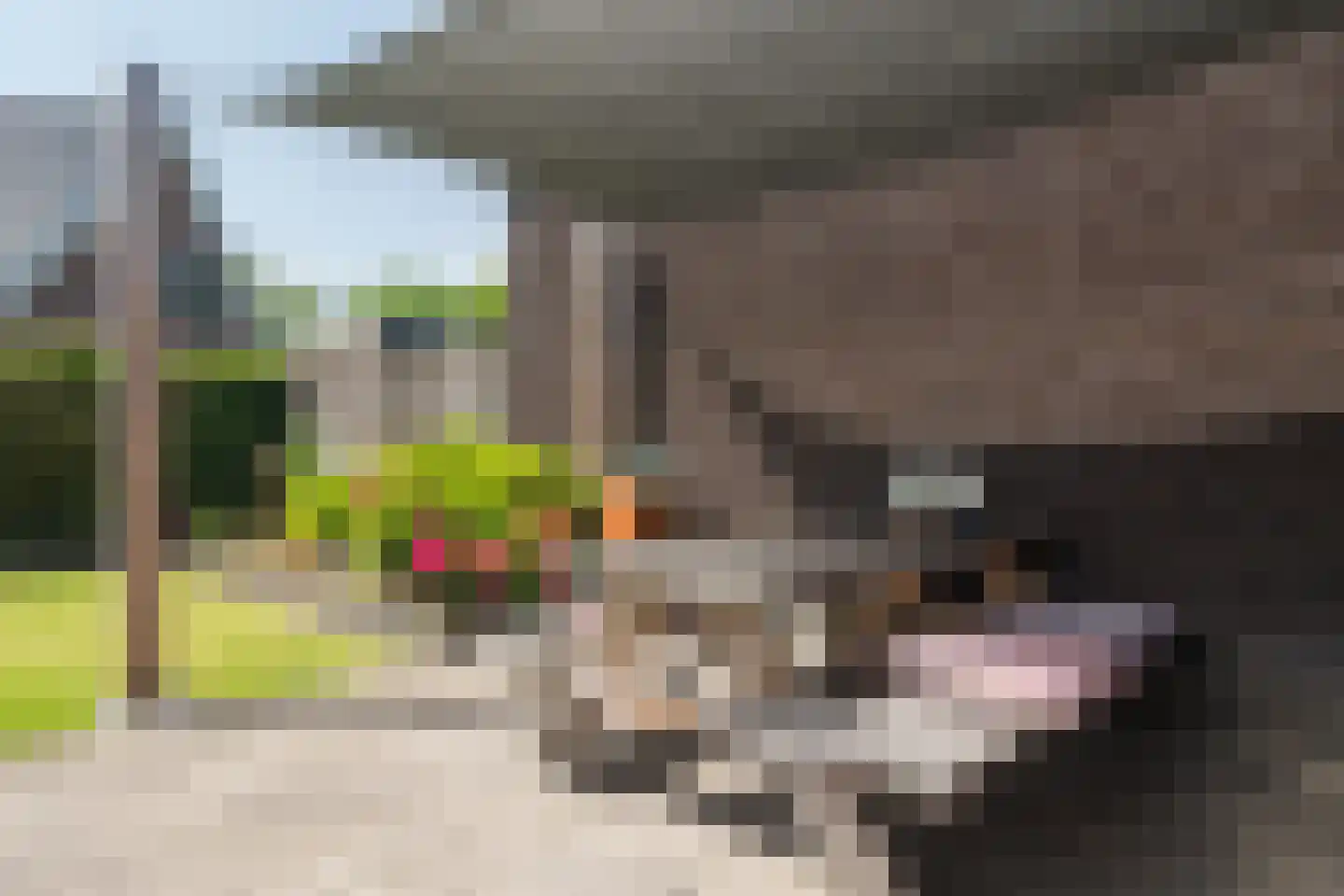 Poldermolen 21 E de Lutte thumbnail 35