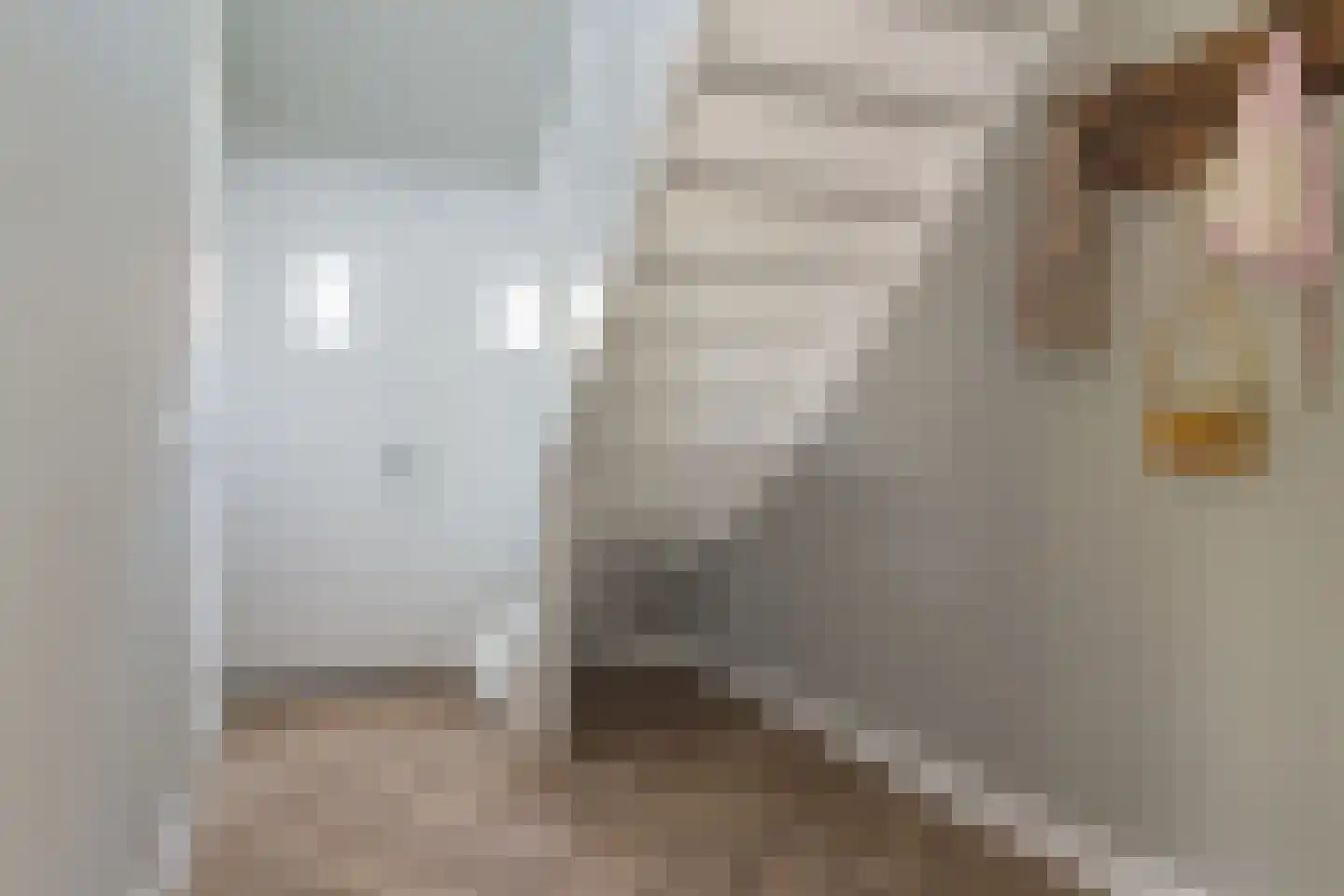 Poldermolen 21 E de Lutte thumbnail 7
