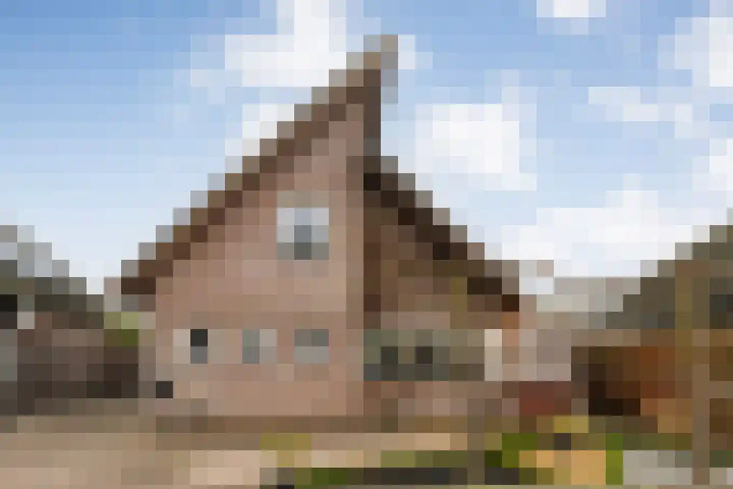 Poldermolen 22 in de Lutte