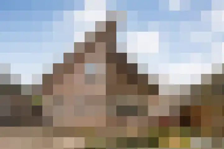 Poldermolen 22 in de Lutte