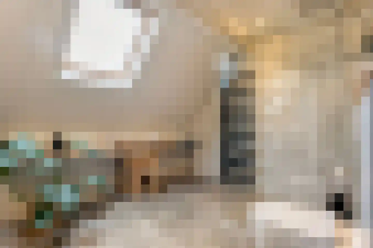 Poldermolen 22 de Lutte thumbnail 16