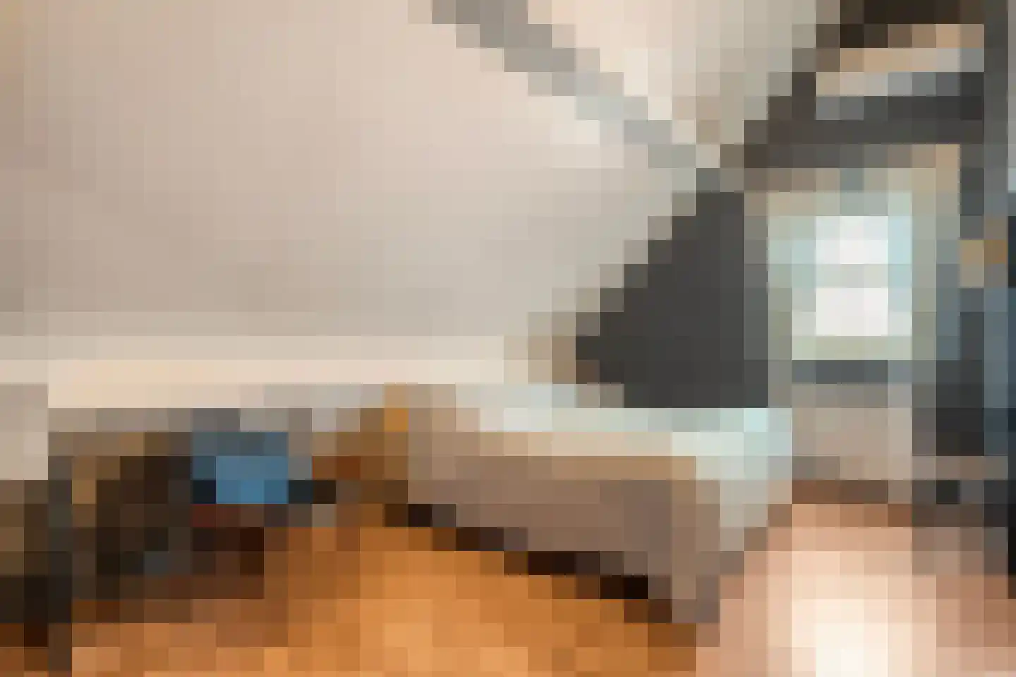 Poldermolen 22 de Lutte thumbnail 20