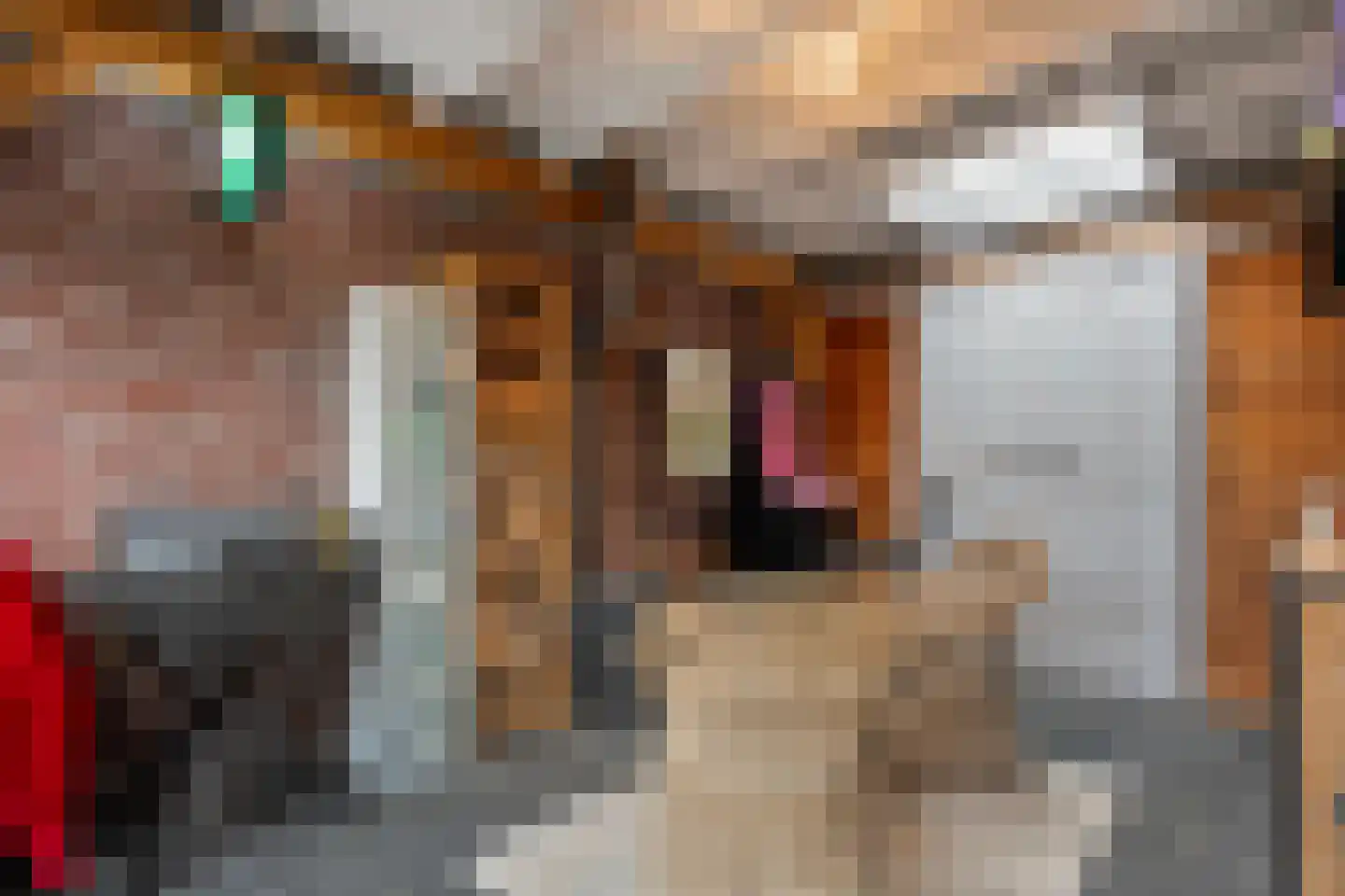 Poldermolen 22 de Lutte thumbnail 21