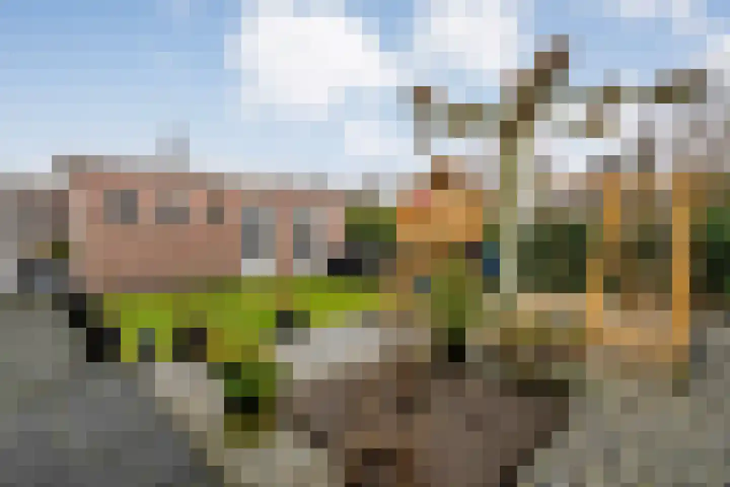 Poldermolen 22 de Lutte thumbnail 23