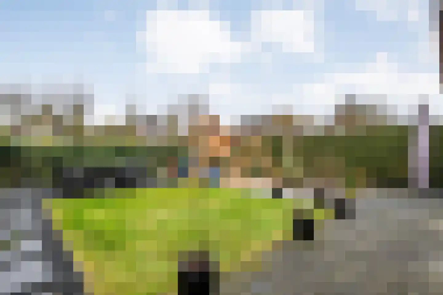 Poldermolen 22 de Lutte thumbnail 24
