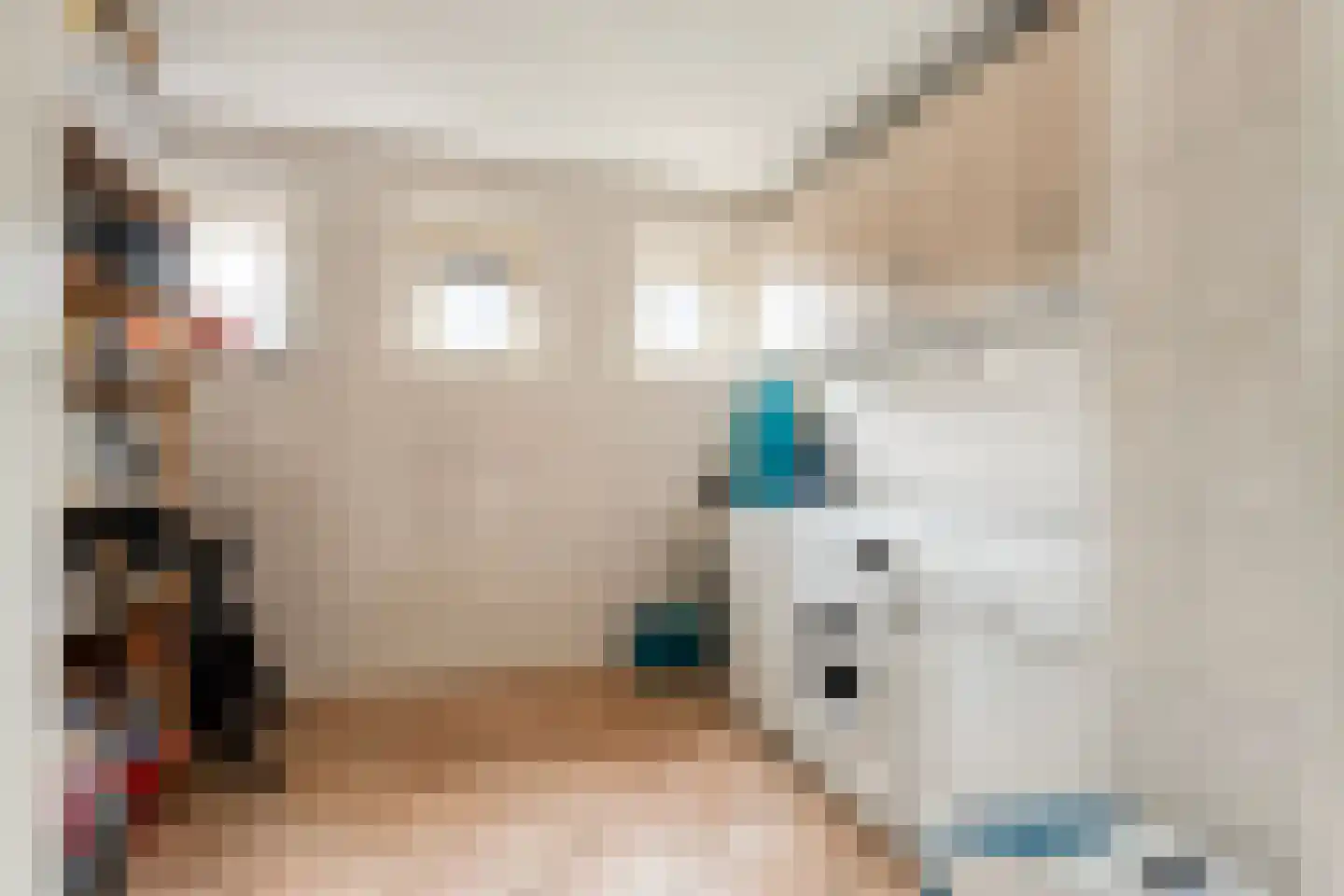 Poldermolen 22 de Lutte thumbnail 4