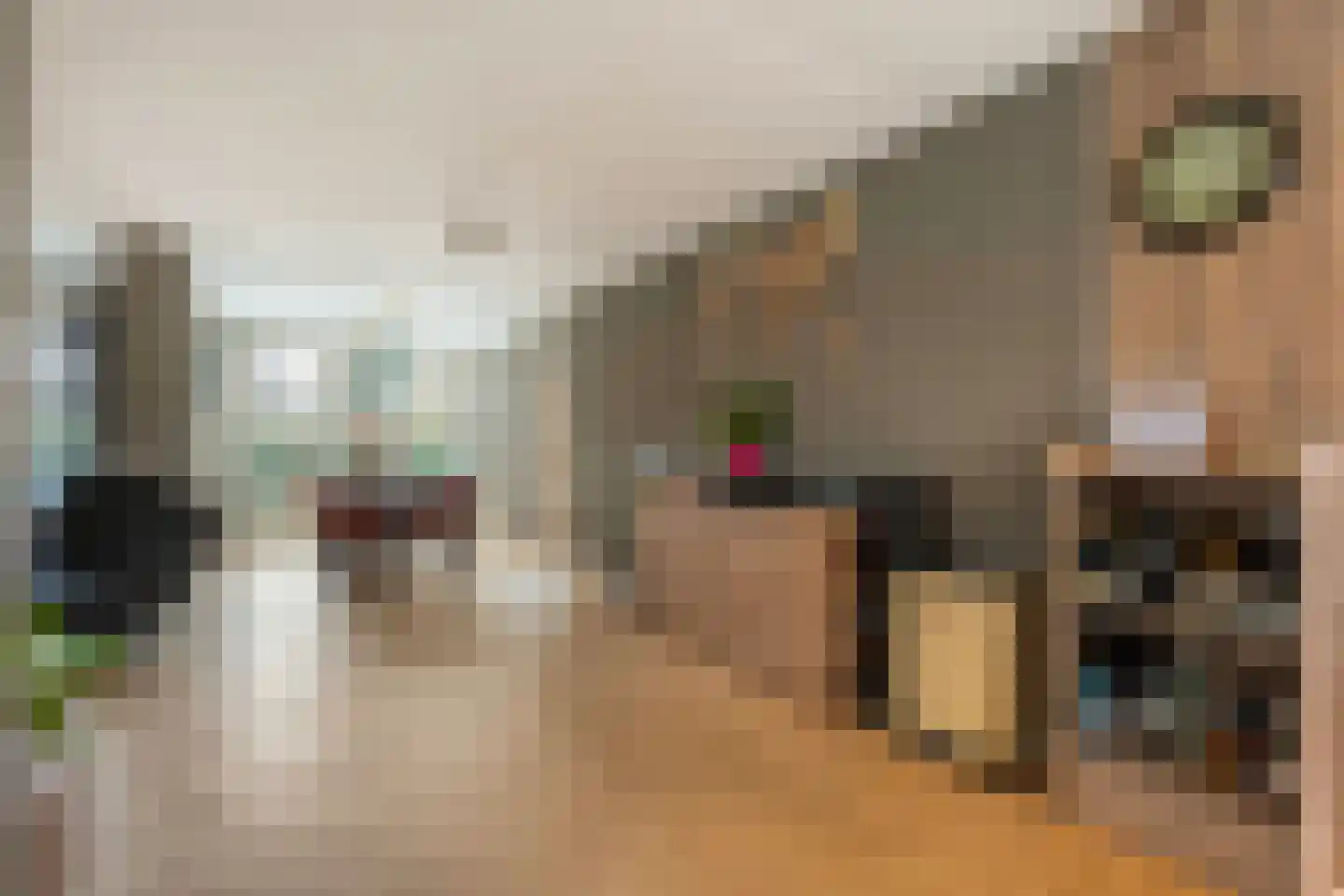 Poldermolen 22 de Lutte thumbnail 8