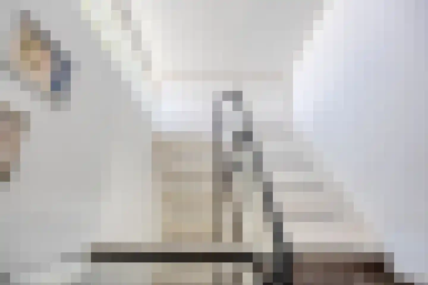 Poldermolen 24 Bergschenhoek thumbnail 37
