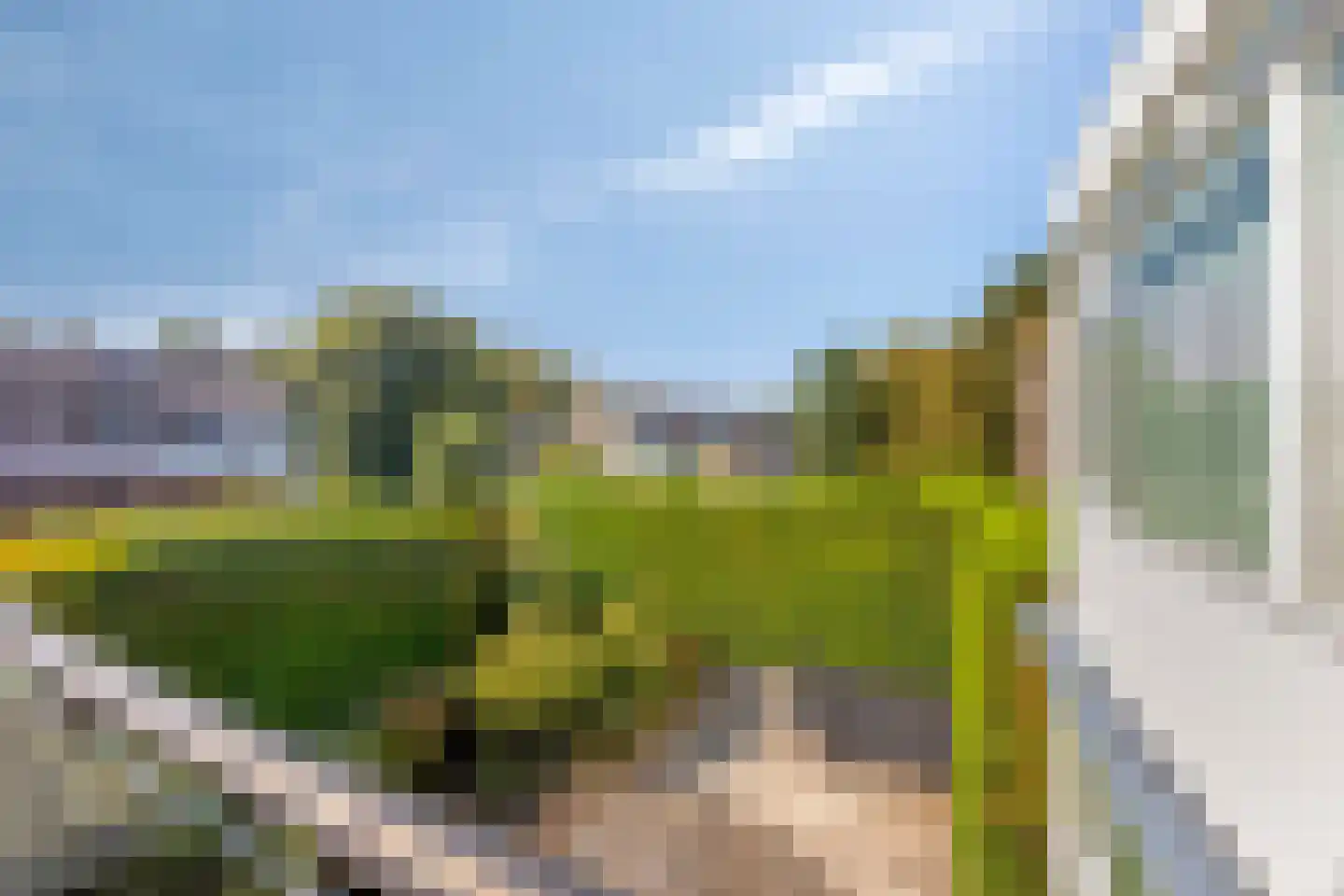Poldermolen 24 Bergschenhoek thumbnail 45