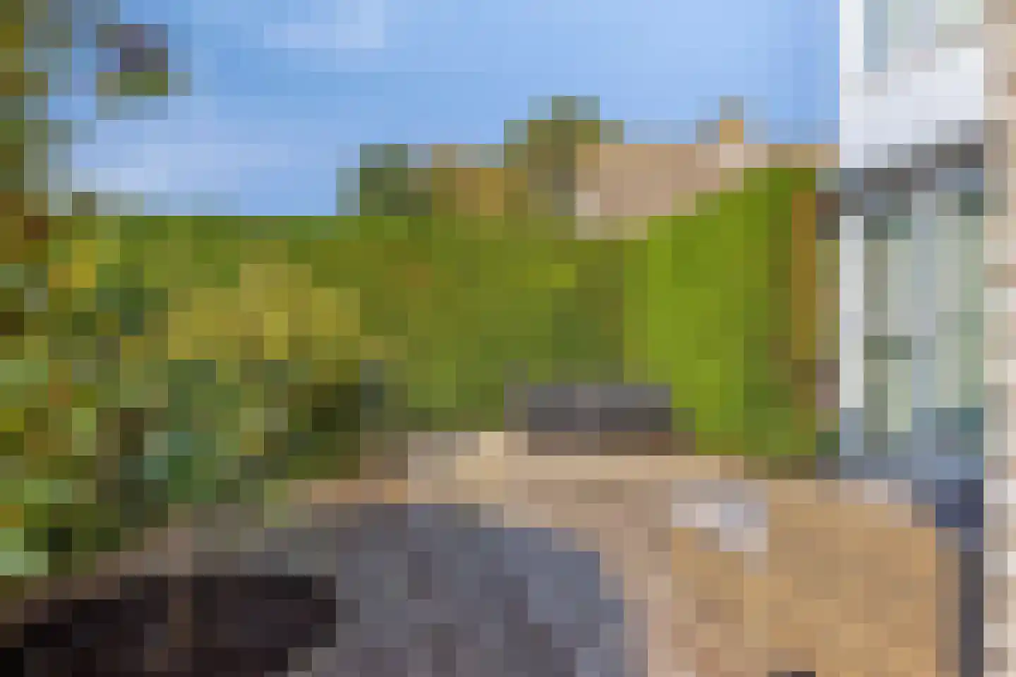 Poldermolen 24 Bergschenhoek thumbnail 55