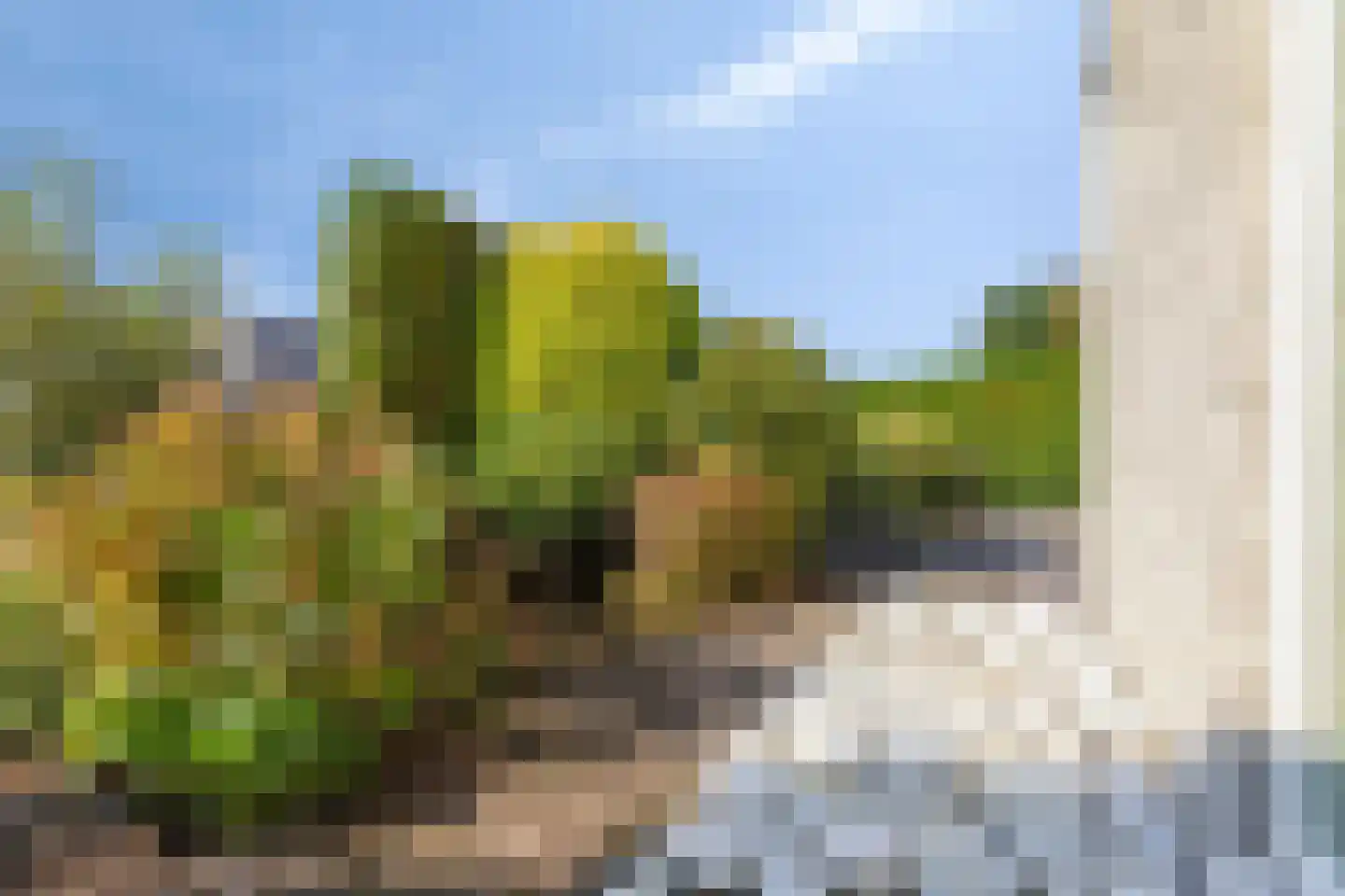 Poldermolen 24 Bergschenhoek thumbnail 56
