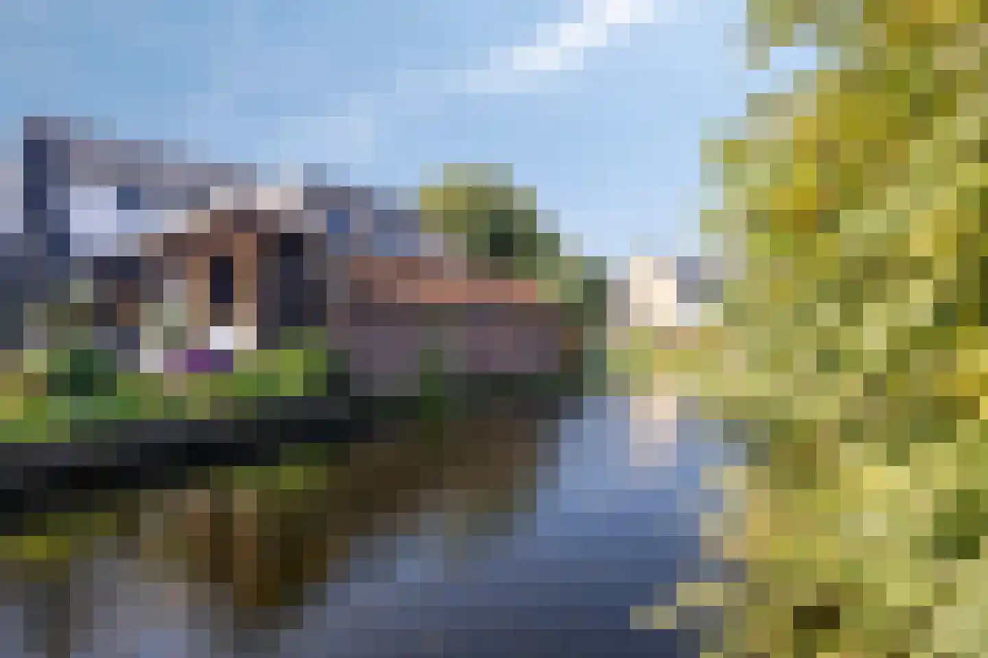 Poldermolen 24 Bergschenhoek thumbnail 59