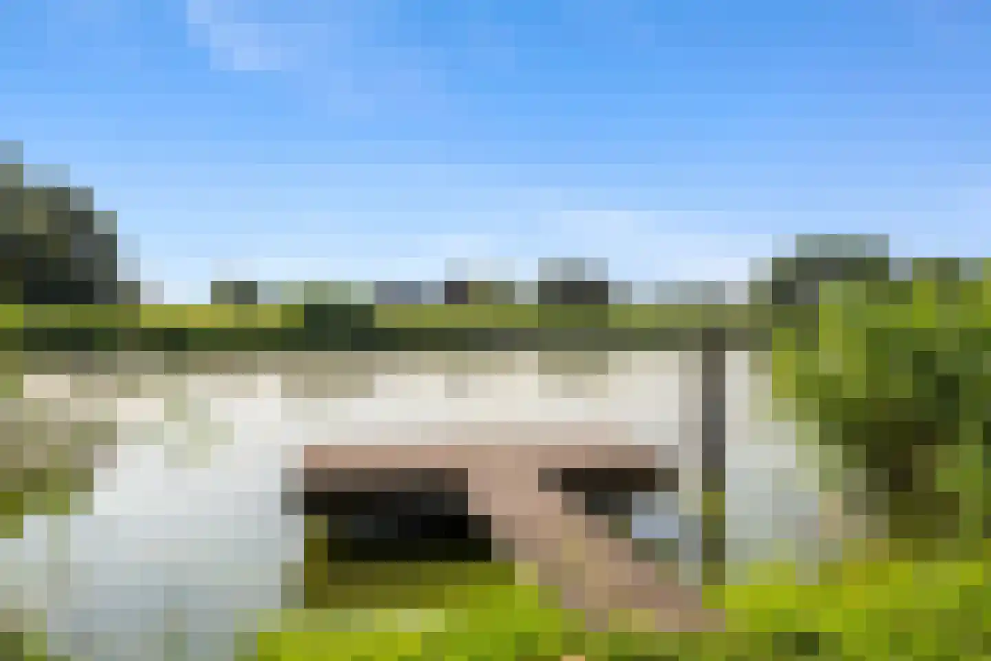 Poldermolen 24 Bergschenhoek thumbnail 64