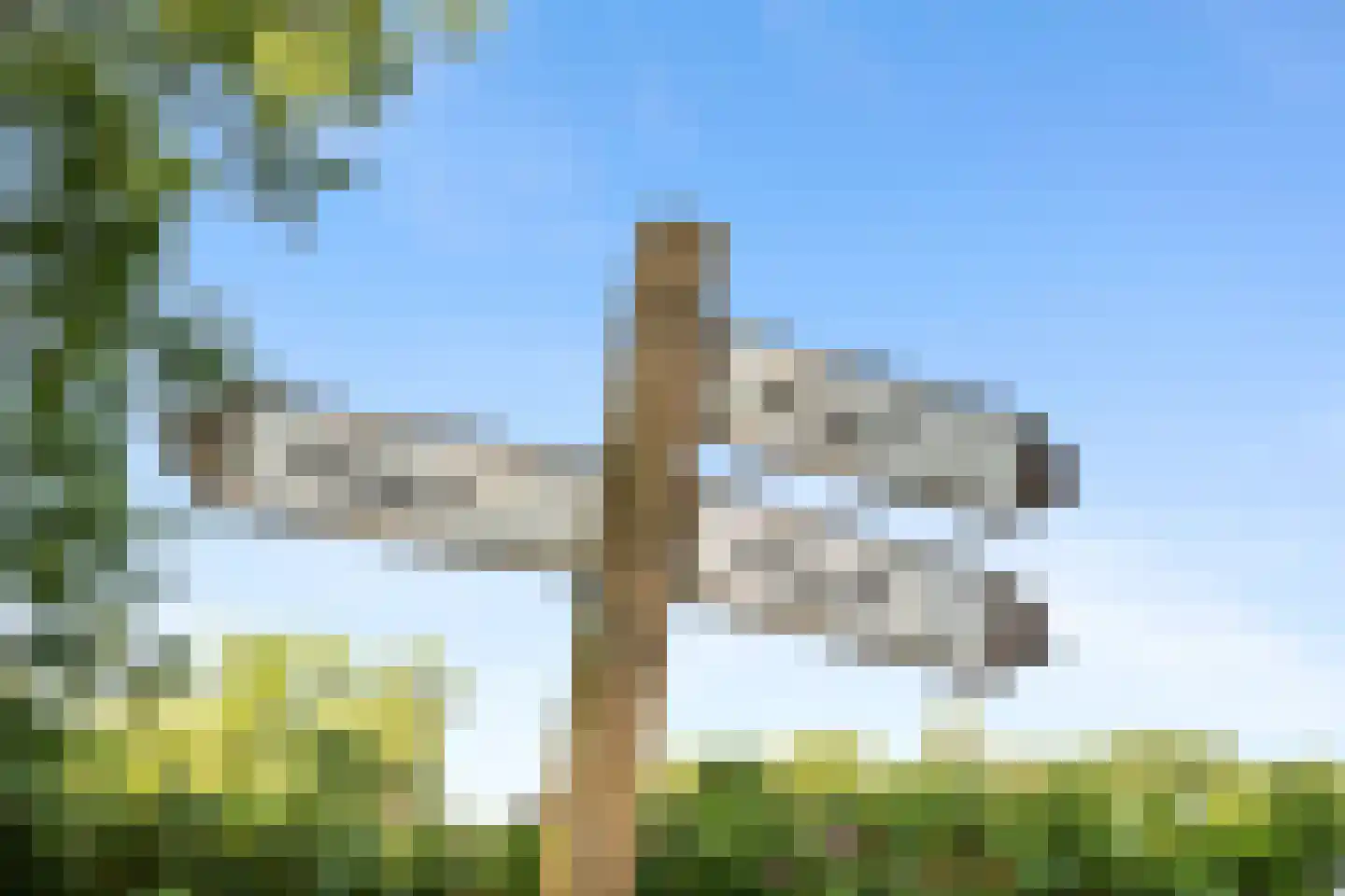 Poldermolen 24 Bergschenhoek thumbnail 66