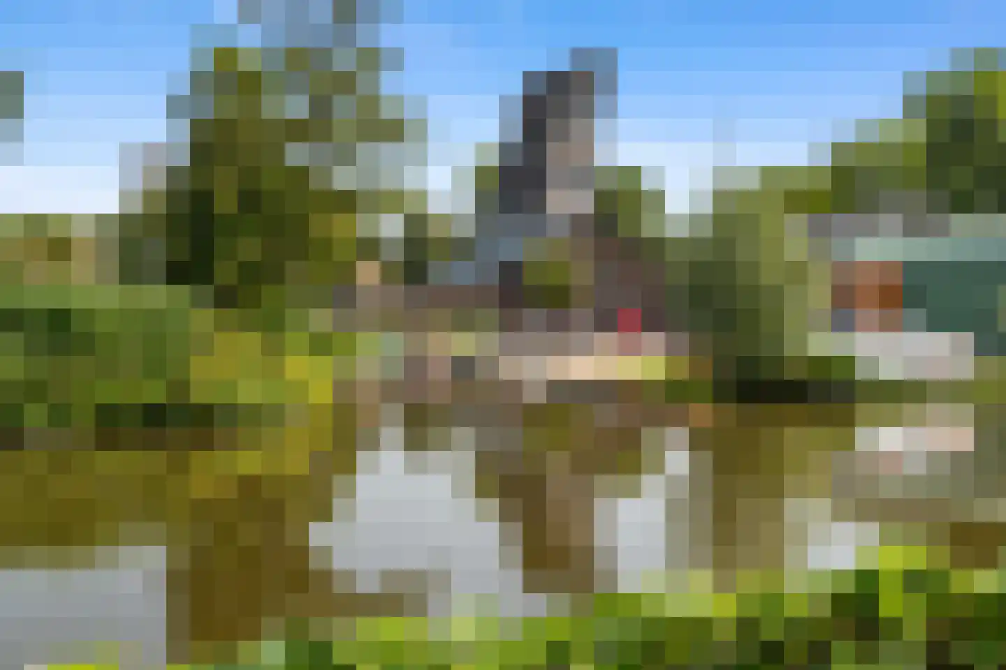 Poldermolen 24 Bergschenhoek thumbnail 67