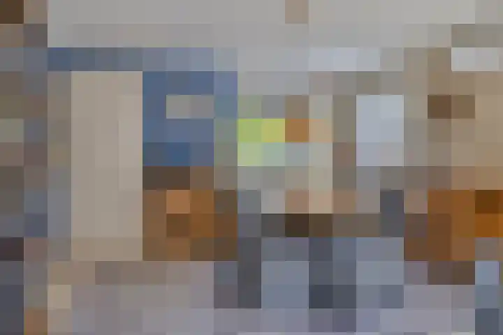 Poldermolen 24 de Lutte thumbnail 12