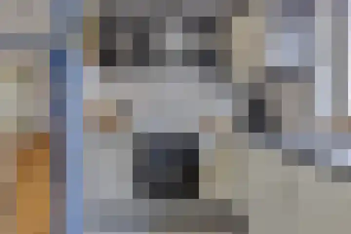 Poldermolen 24 de Lutte thumbnail 14