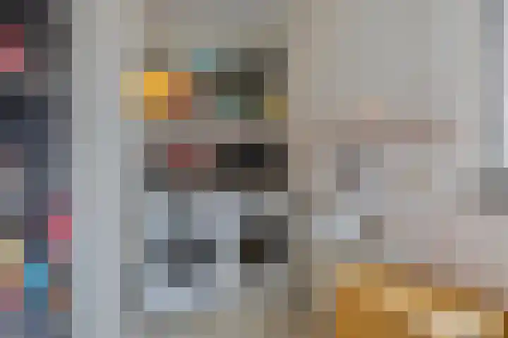 Poldermolen 24 de Lutte thumbnail 16