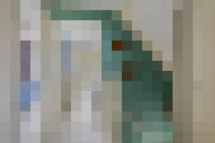 Poldermolen 24 de Lutte thumbnail 17