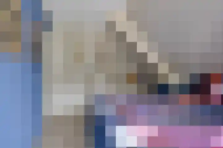 Poldermolen 24 de Lutte thumbnail 19