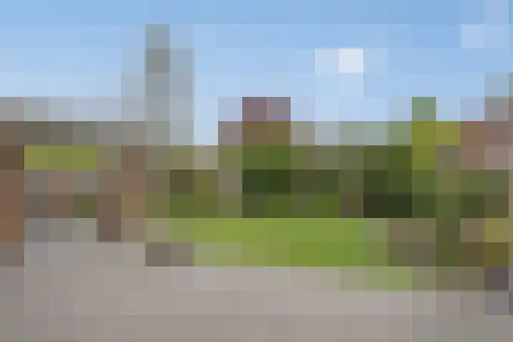 Poldermolen 24 de Lutte foto 2
