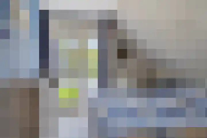 Poldermolen 24 de Lutte thumbnail 23