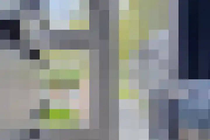 Poldermolen 24 de Lutte thumbnail 24