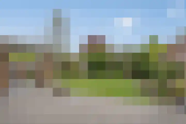 Poldermolen 24 de Lutte thumbnail 26