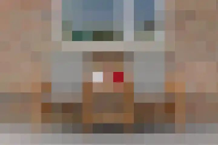 Poldermolen 24 de Lutte thumbnail 28