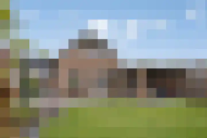 Poldermolen 24 de Lutte foto 3