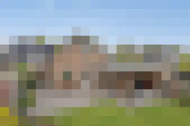 Poldermolen 24 de Lutte thumbnail 30