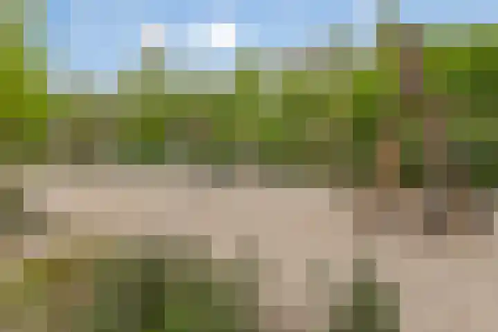 Poldermolen 24 de Lutte thumbnail 31