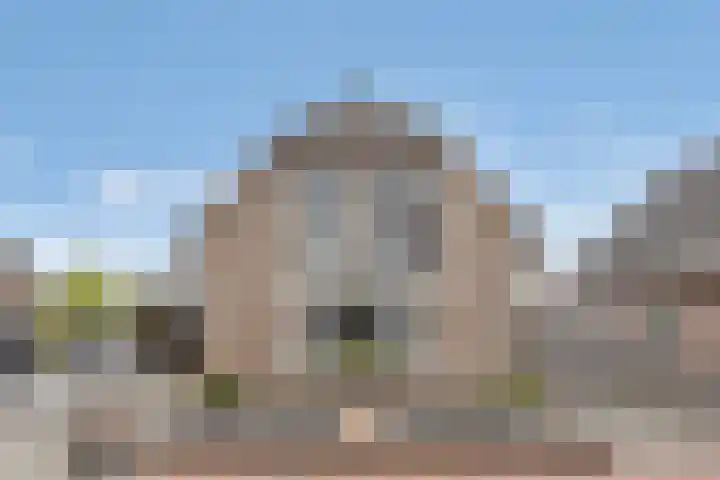 Poldermolen 24 de Lutte thumbnail 32