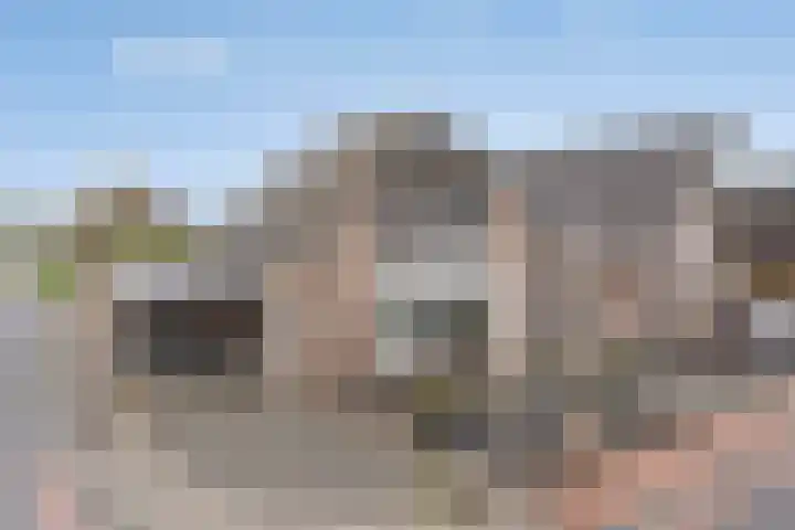 Poldermolen 24 de Lutte thumbnail 34