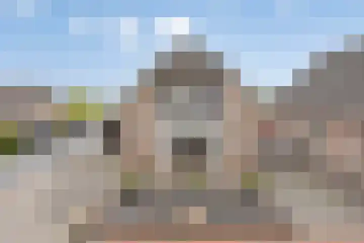 Poldermolen 24 de Lutte thumbnail 4