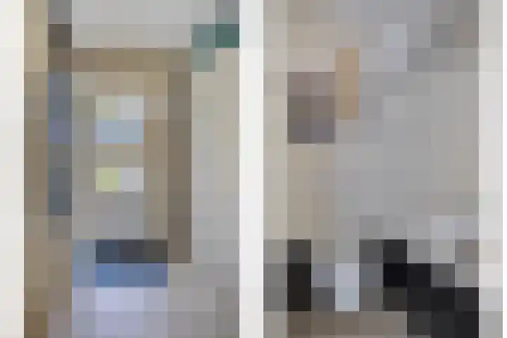Poldermolen 24 de Lutte thumbnail 5