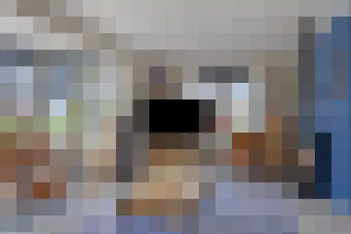 Poldermolen 24 de Lutte thumbnail 8