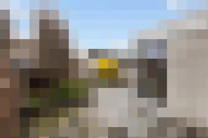 Poldermolen 24 Maassluis thumbnail 18