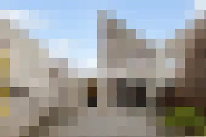 Poldermolen 24 Maassluis thumbnail 20