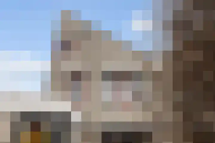 Poldermolen 24 Maassluis thumbnail 22