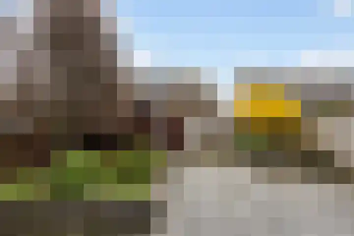 Poldermolen 24 Maassluis thumbnail 4