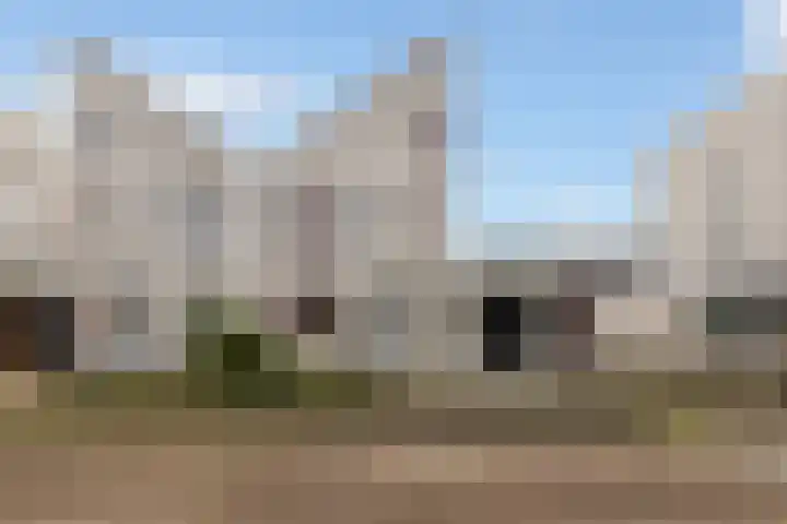 Poldermolen 24 Maassluis thumbnail 47