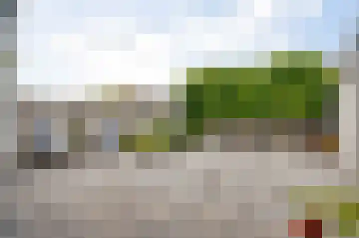 Poldermolen 27 Weert thumbnail 23