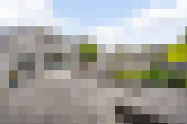 Poldermolen 27 Weert thumbnail 4